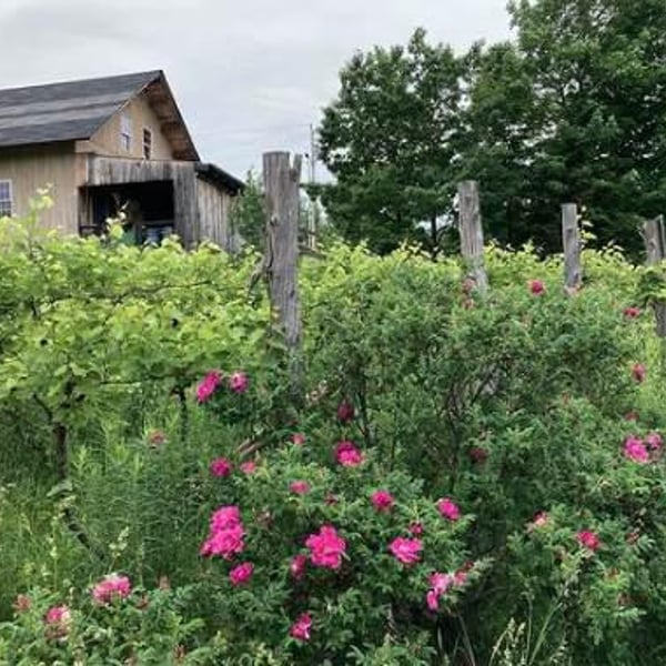 La Garagista Farm & Winery - Deirdre Heekin and Caleb Barber