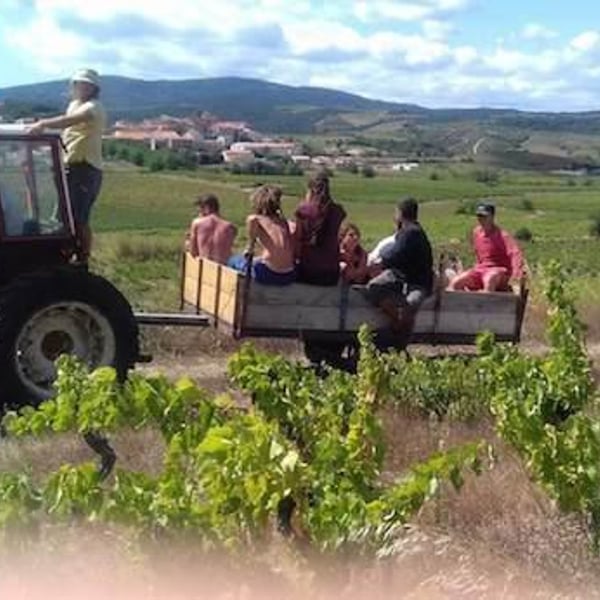 Domaine De L'immortelle - Delphine & Yann Bouvier