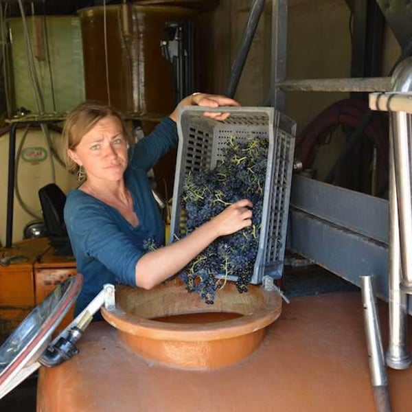Domaine De L'immortelle - Delphine & Yann Bouvier