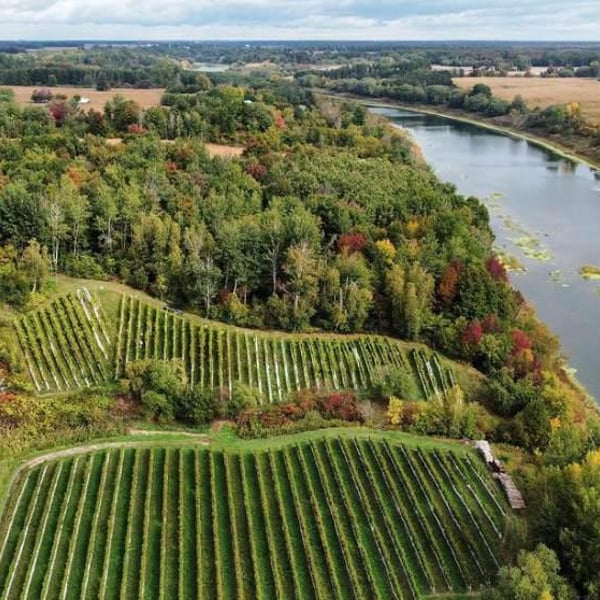 Domaine Du Nival - Denis & Mathieu Beauchemin