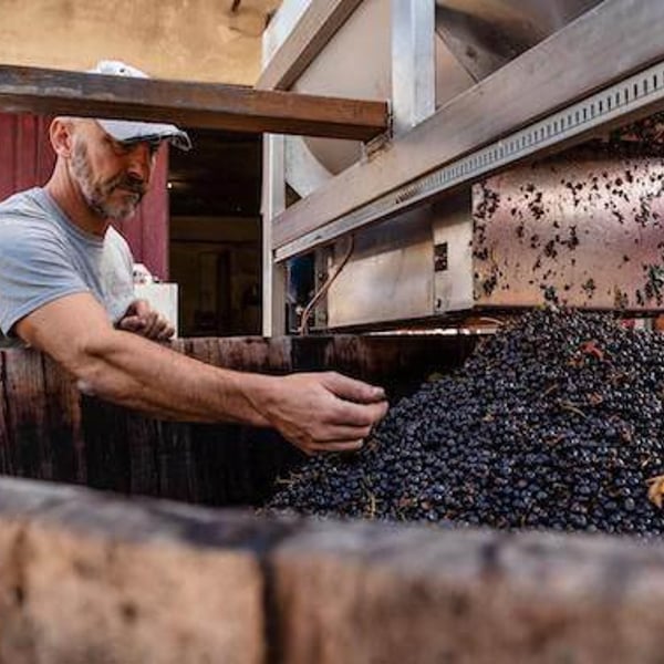 Azienda Agricola Denis Montanar - Denis Montanar