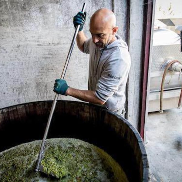 Azienda Agricola Denis Montanar - Denis Montanar
