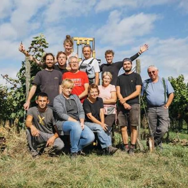 Weingut Wolf - Dennis Wolf