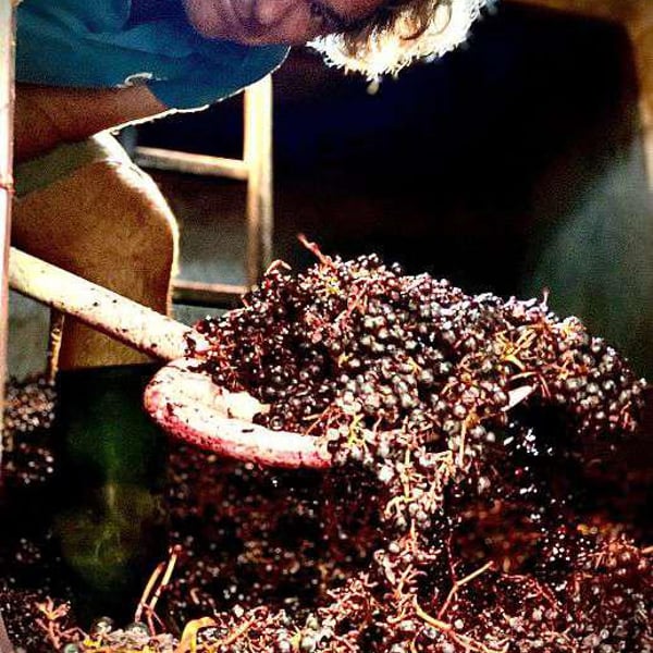Château La Colombière - Diane & Philippe Cauvin