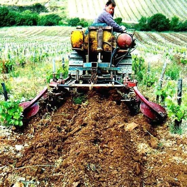 Domaine Léon Barral - Didier Barral