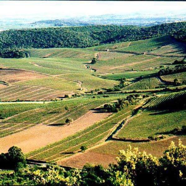 Didier Barral