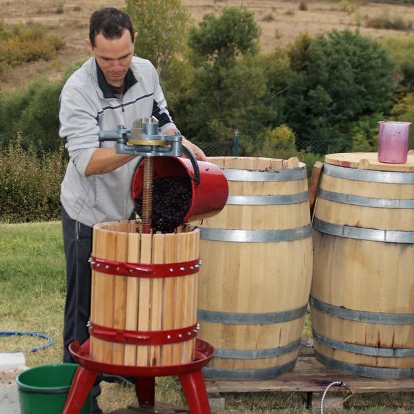 Natural Wine Fellows of Zagreus (at Zagreus) - Dimitar & Momchil & Stanimir & Ivan