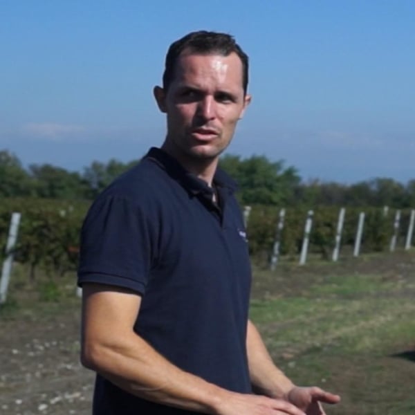 Natural Wine Fellows of Zagreus (at Zagreus) - Dimitar & Momchil & Stanimir & Ivan