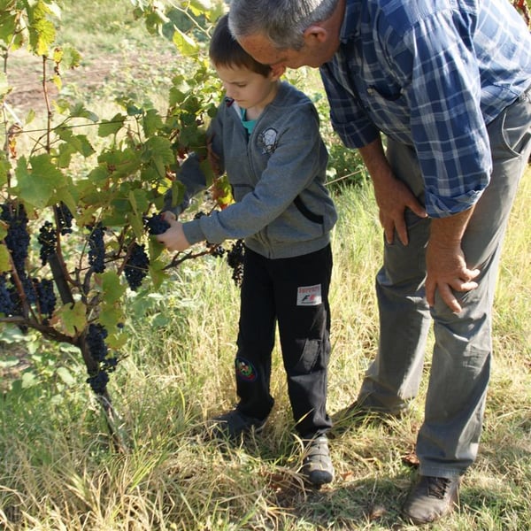 Natural Wine Fellows of Zagreus (at Zagreus) - Dimitar & Momchil & Stanimir & Ivan