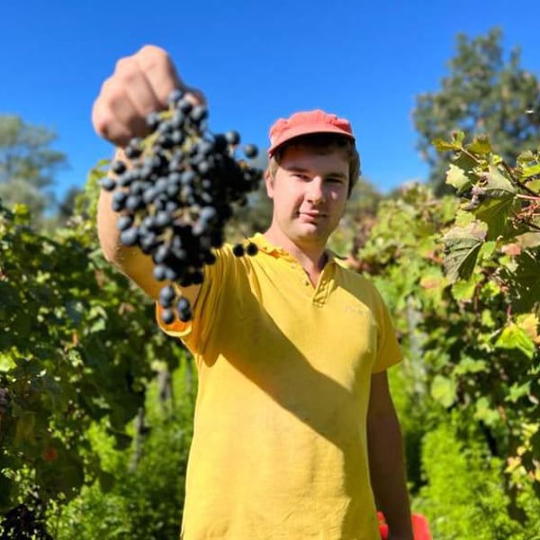 Azienda Agricola Cacovich - Dimitri Cacovich