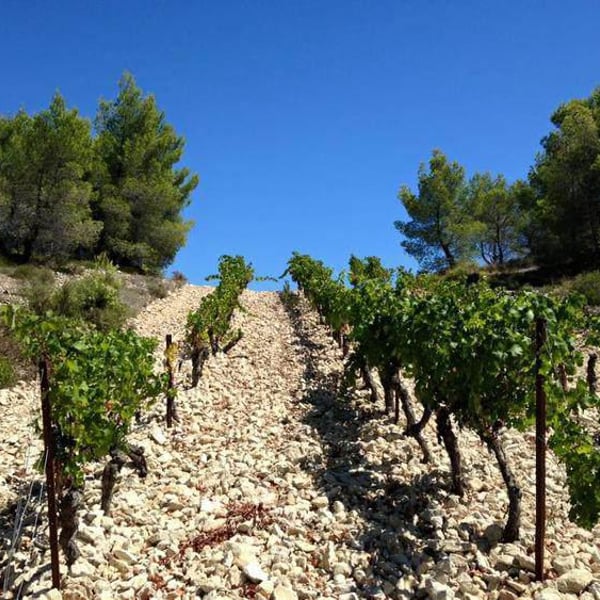 Domaine Hauvette - Dominique Hauvette
