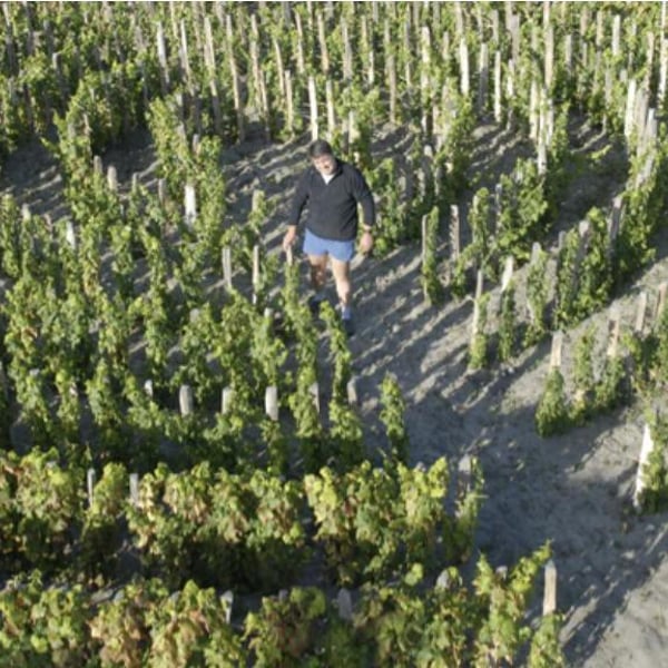 Domaine Léandre-Chevalier - DLC - L'Homme-Cheval - Dominique Léandre-Chevalier & Reto Erdin