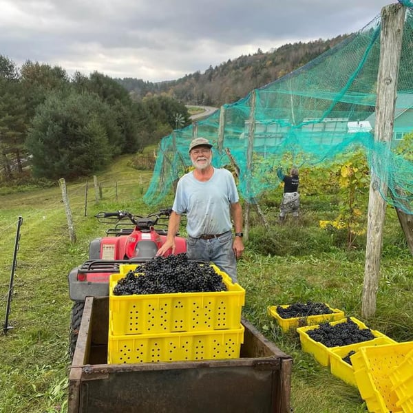 Montpelier Vineyards - Douglas Becker