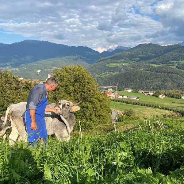 Radoar Azienda Agricola - Edith & Norbert Blasbichler