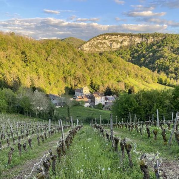 Domaine des Sonnettes - Sonshine Vins - Edouard Gouyette & Lisanne van Son