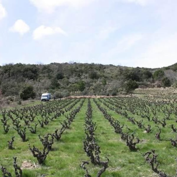 Domaine Le Bout du Monde - Edouard Laffitte