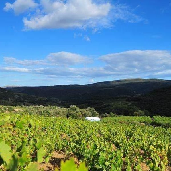 Domaine Le Bout du Monde - Edouard Laffitte