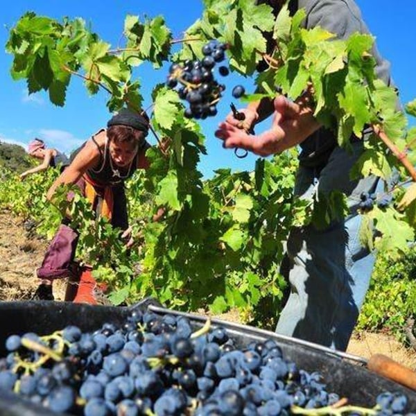 Domaine Le Bout du Monde - Edouard Laffitte