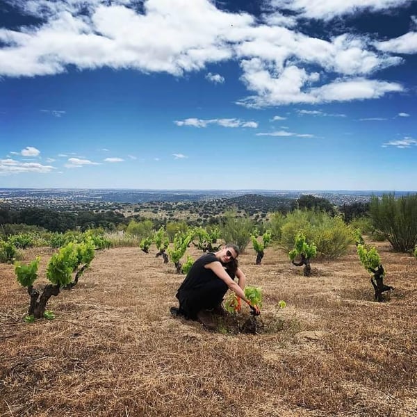 Chapi Wines - Eduardo Muñoz