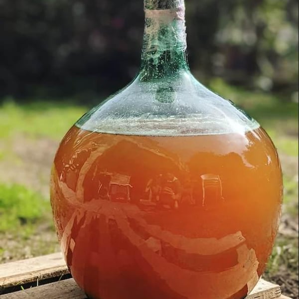 Chapi Wines - Eduardo Muñoz