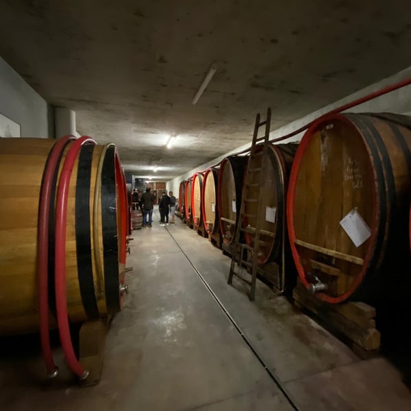Azienda Agricola Elio Sandri - Elio Sandri