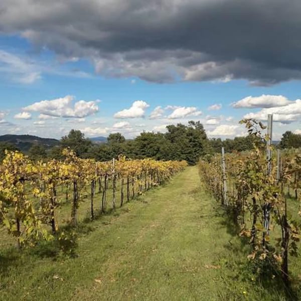 Elisa Cortese, Giovanni Adua