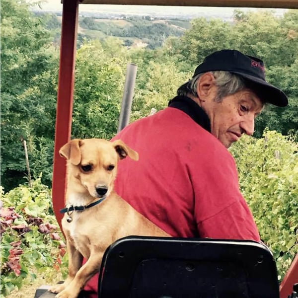 Elisabetta Montesissa