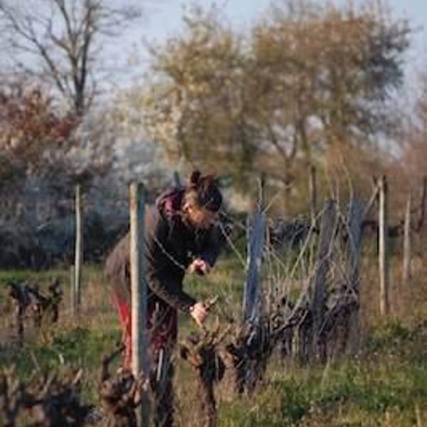Vignes De L'Atrie (CLOSED) - Elise Hamant (CLOSED)