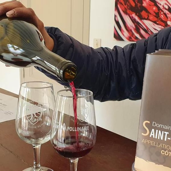 Domaine Saint-Apollinaire - Elodie Daumas