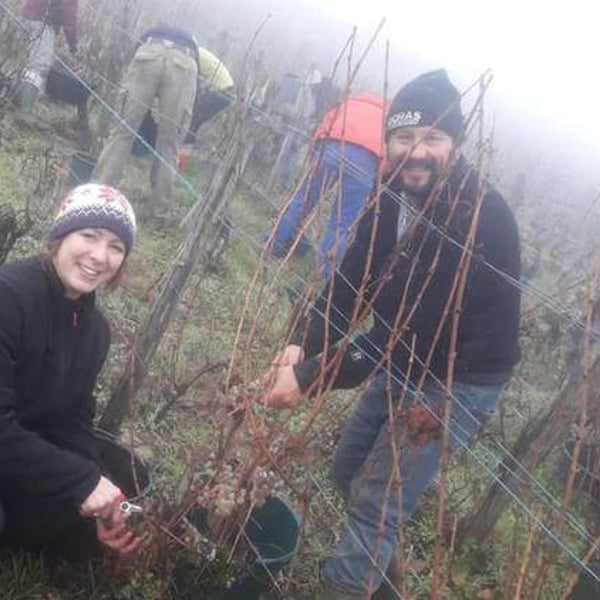Domaine des Bodines - Emilie & Alexis Porteret
