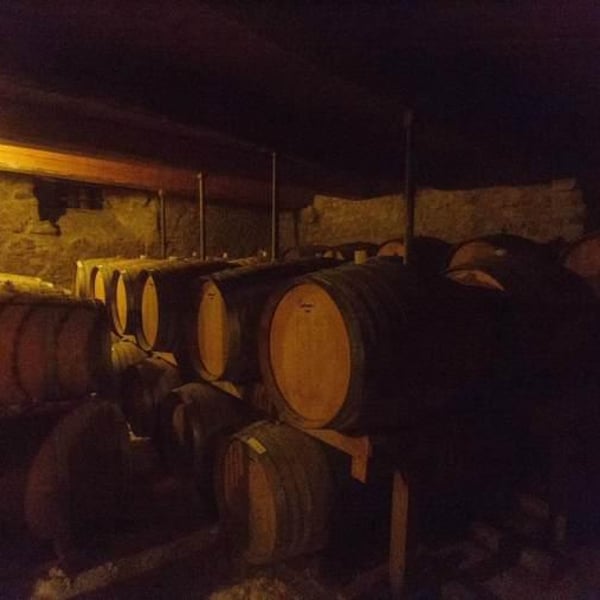 Azienda Agricola Il Pratello - Emilio Placci