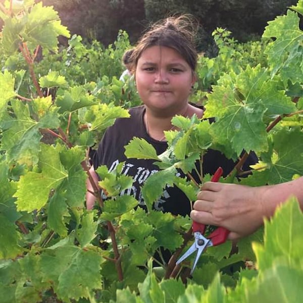 Domaine Bordes - Emma & Philippe Bordes