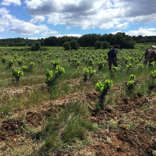 Domaine Bordes - Emma & Philippe Bordes