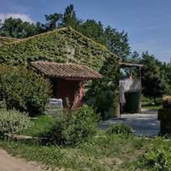 Domaine Milan - Emma, Théophile & Henri Milan