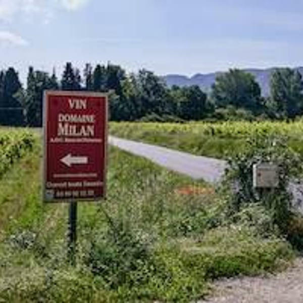 Domaine Milan - Emma, Théophile & Henri Milan