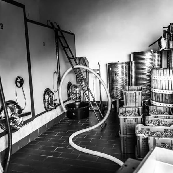 Azienda Agricola I Chicchi - Enrico Rosati & Federica Marelli