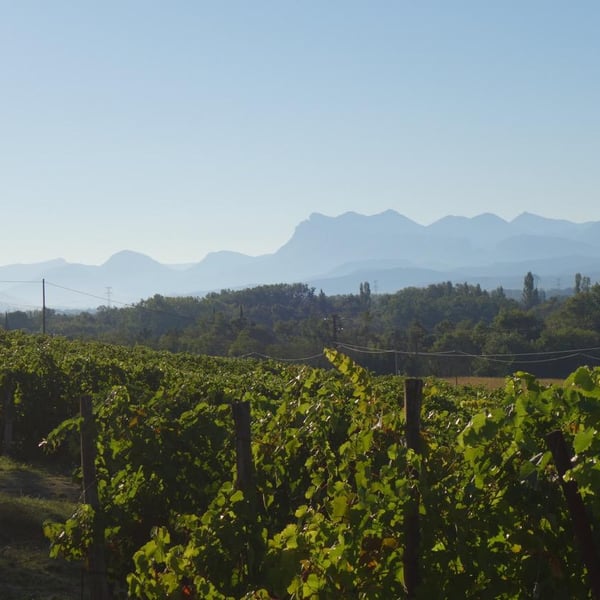 Laurence et Eric Texier