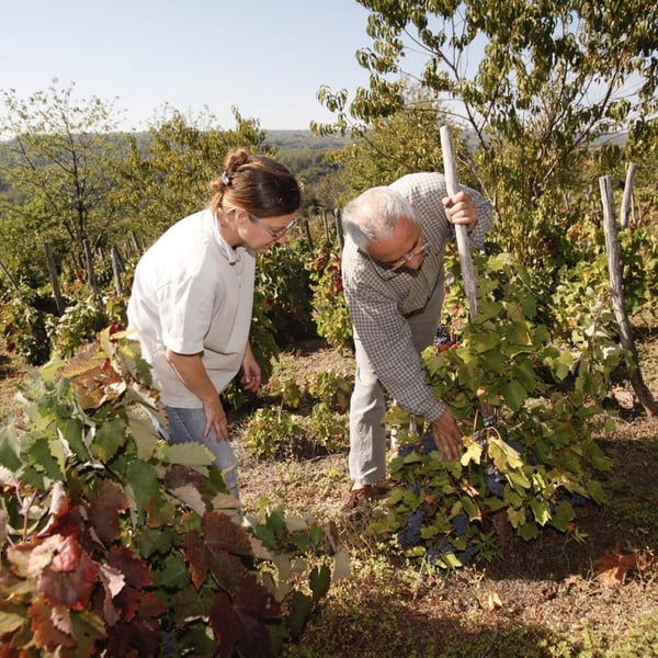 Estelle & Cyrille Bongiraud