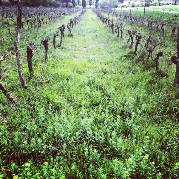 Domaine de Villarzens - Éva et Aurélien