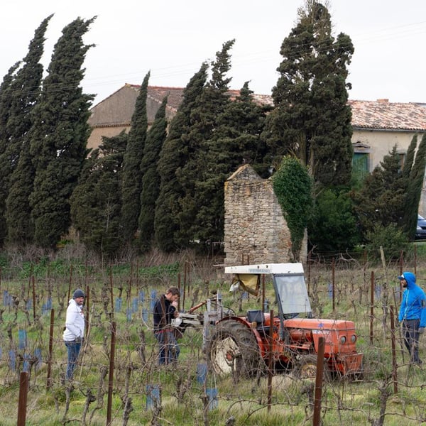 Domaine de Villarzens - Éva et Aurélien
