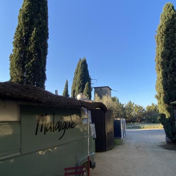 Domaine de Malaïgue - Francois Reboul