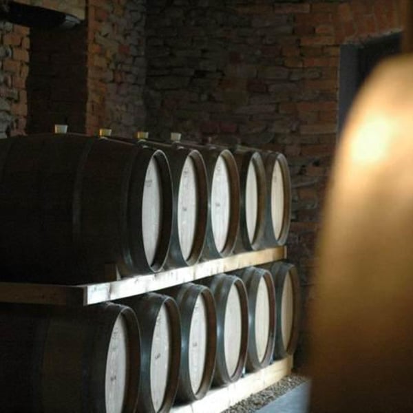 Azienda Agricola Ezio Cerruti - Ezio Cerruti
