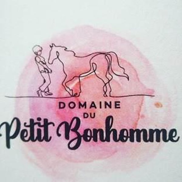 Domaine du petit bonhomme - Fabien Chanavas