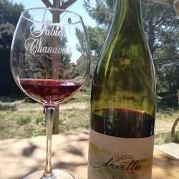 Domaine du petit bonhomme - Fabien Chanavas