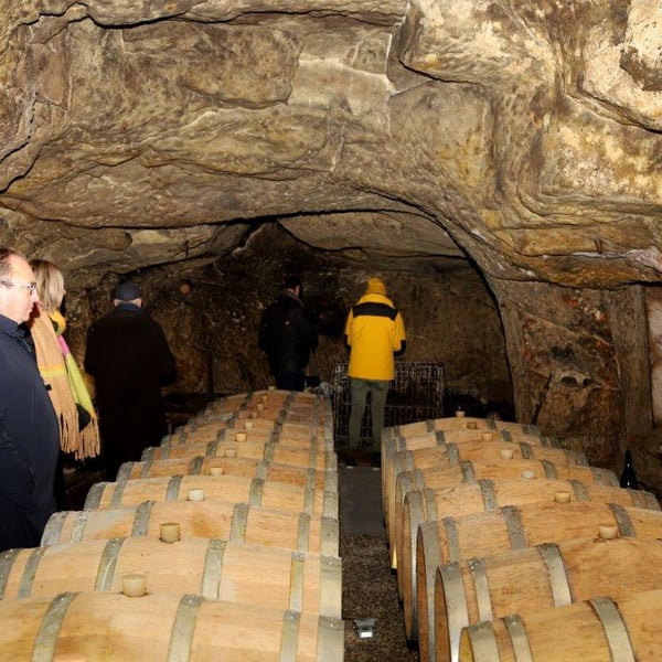 Domaine Fabien Duveau - Fabien Duveau