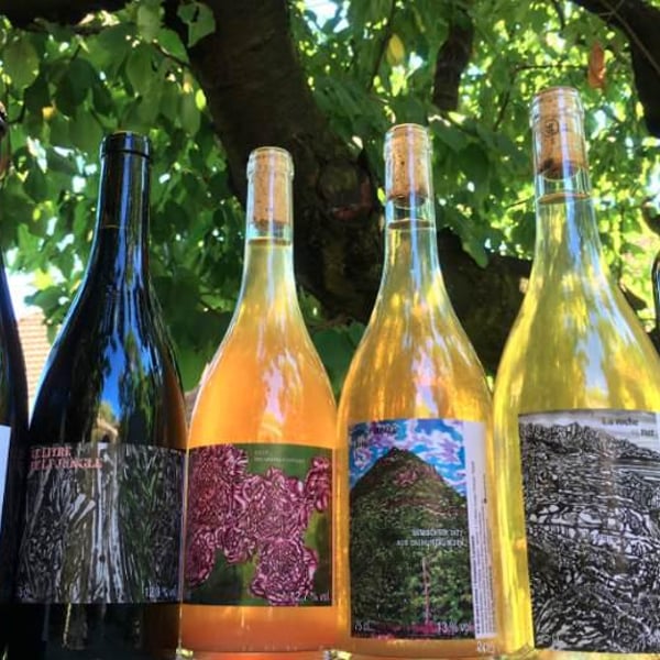 Les Vins Du Fab - Fabien Henriot