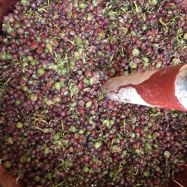 Les Vins Du Fab - Fabien Henriot
