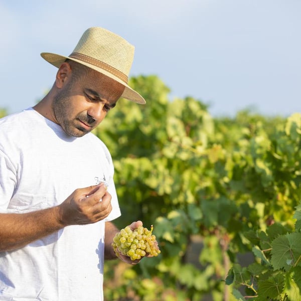 Azienda Agricola Ferracane - Fabio Ferracane