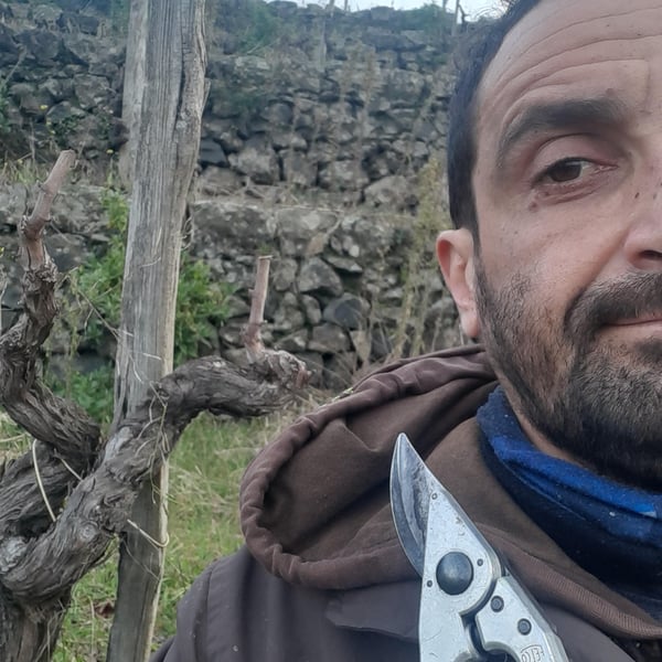 Azienda Agricola Signorelli - Fabio Signorelli