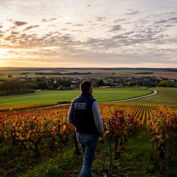 Domaine de Mondeville - Famille Dumont